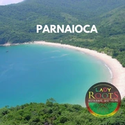 Volta a ilha